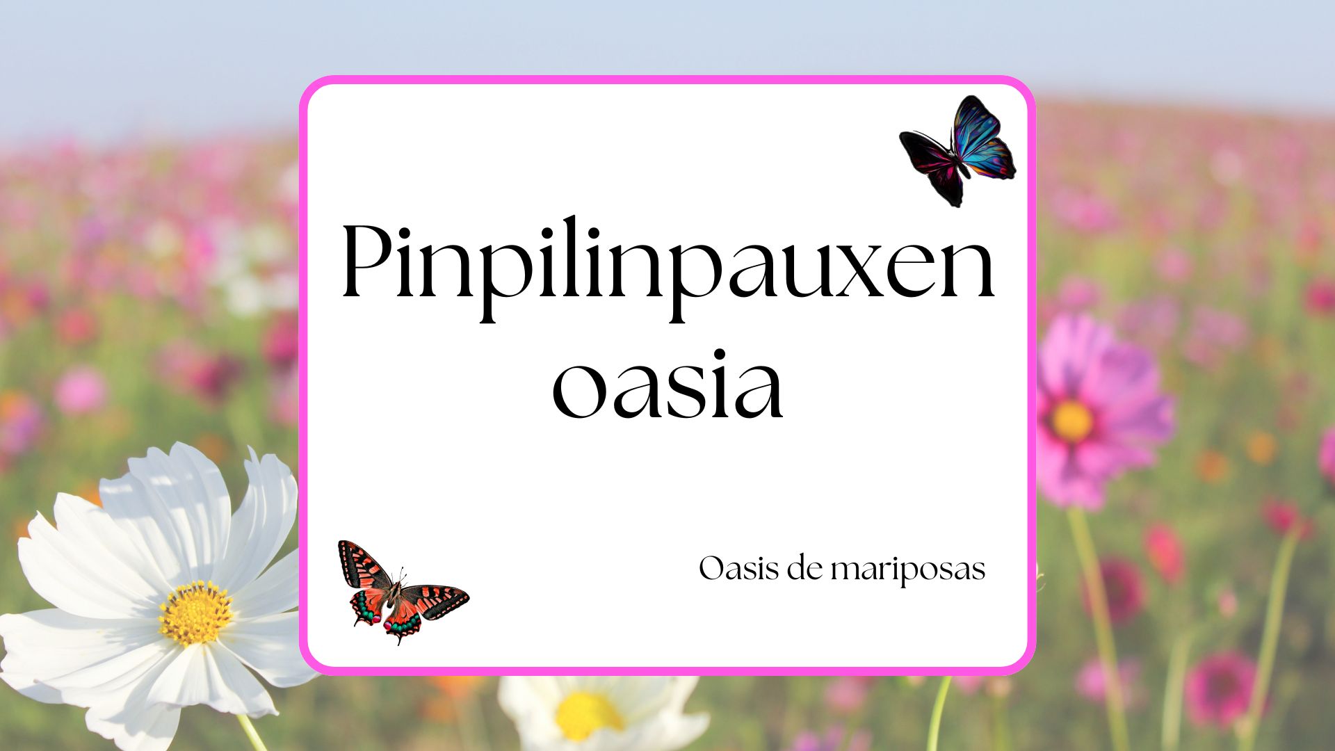 Pinpilinpausen oasia